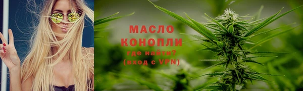 гидра Абаза