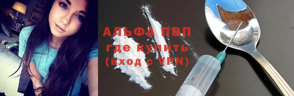 гидра Абаза