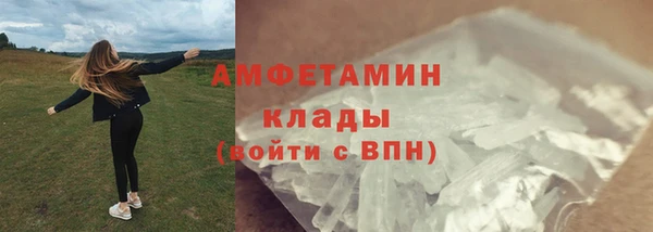 гидра Абаза