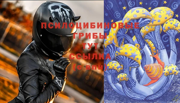 соль ск Абинск
