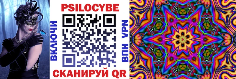 mega ссылка где купить Каргополь Псилоцибиновые грибы мухоморы